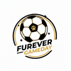 Translation missing: en.Furever Gameday accessibility.home