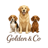 Translation missing: en.Golden &amp; Co  accessibility.home